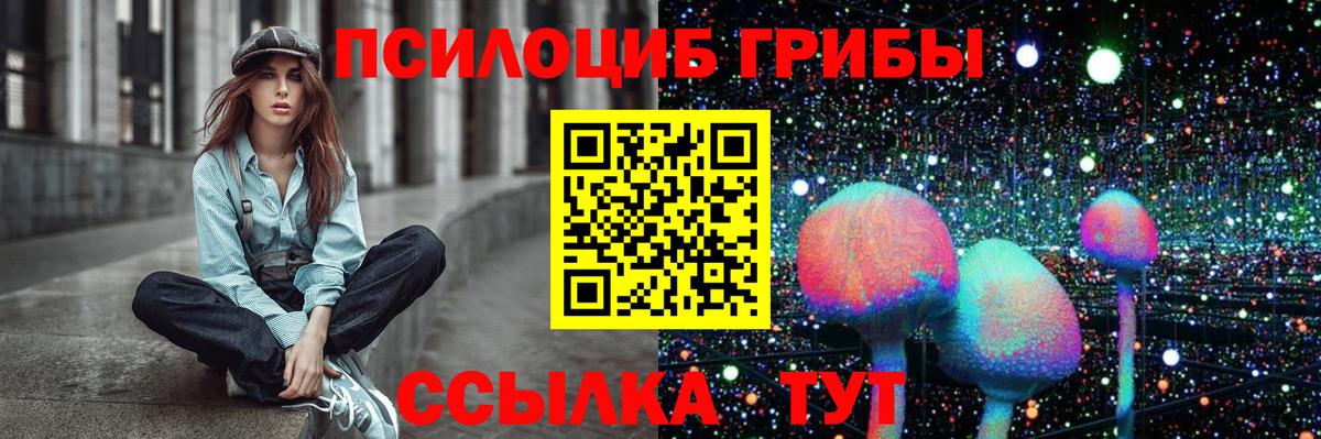 Псилоцибиновые грибы Psilocybine cubensis Будённовск