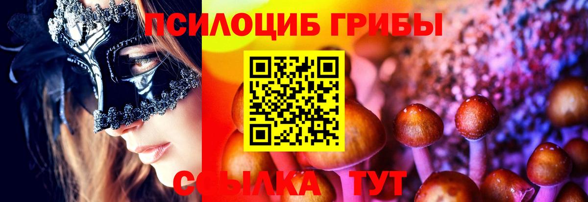 Псилоцибиновые грибы прущие грибы  Галлюциногенные грибы Cubensis  Будённовск  Вход с VPN 