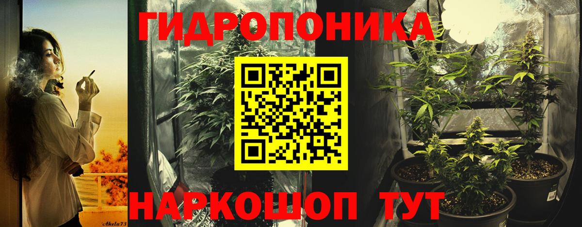 Будённовск  Конопля Ganja  Вход с VPN  Марихуана Ganja  Бошки марихуана сатива 