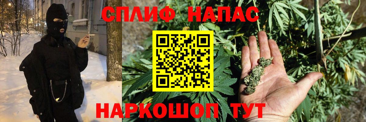 Бошки марихуана White Widow Будённовск